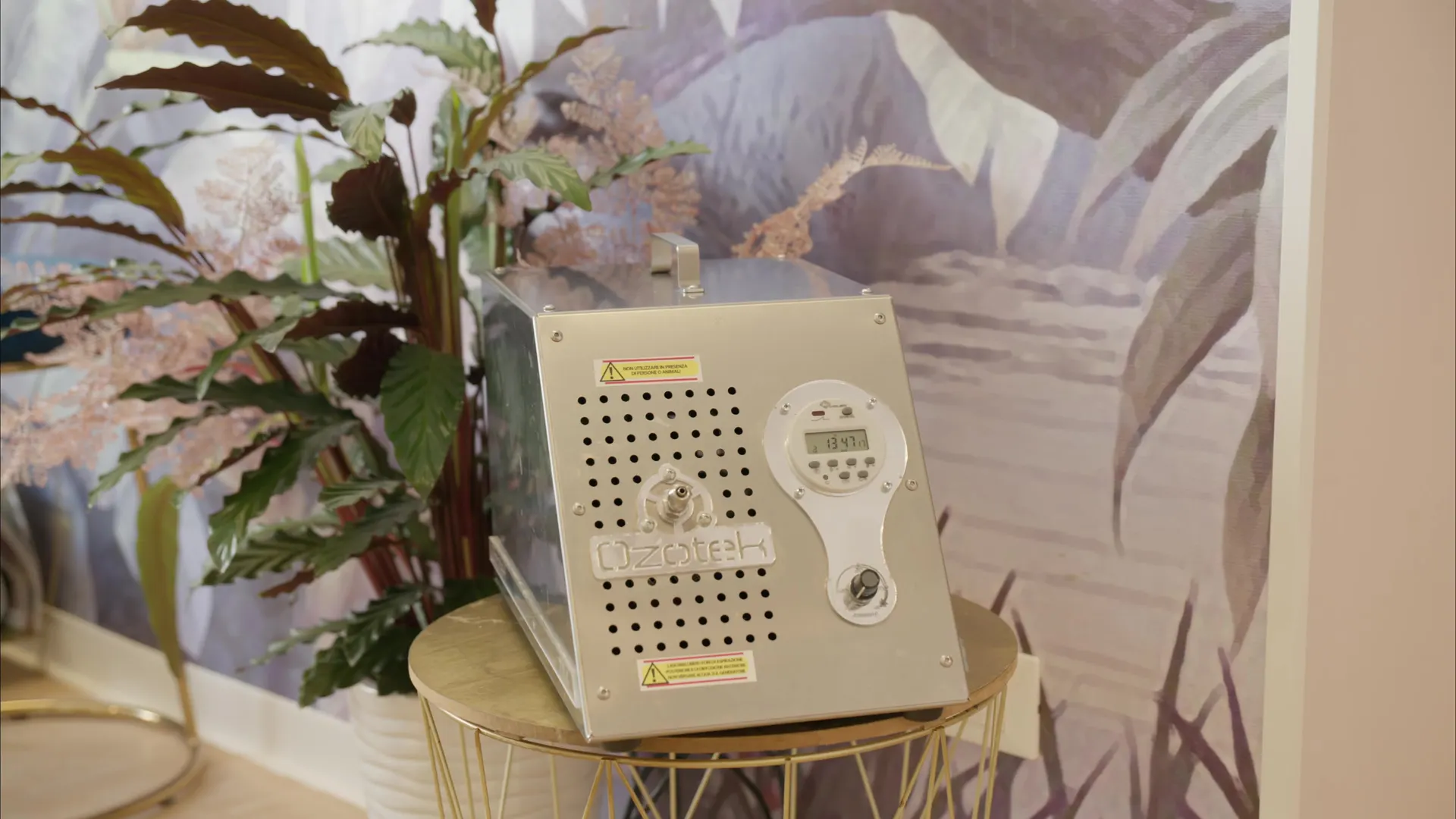 Una parete dipinta a foglie lilla, con una pianta e una radio d'epoca